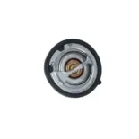 NRF 725142 Termostato, refrigerante