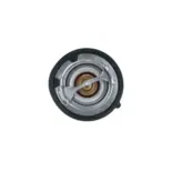 NRF 725142 Termostato, refrigerante