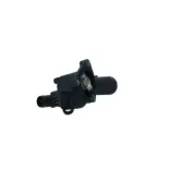 NRF 725137 Termostato, refrigerante