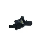 NRF 725137 Termostato, refrigerante