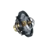 NRF 725285 Termostato, refrigerante