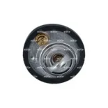 NRF 725285 Termostato, refrigerante
