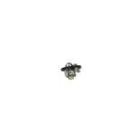 NRF 725285 Termostato, refrigerante