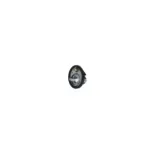 NRF 725285 Termostato, refrigerante