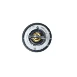 NRF 725097 Termostato, refrigerante