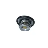 NRF 725097 Termostato, refrigerante