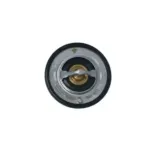 NRF 725097 Termostato, refrigerante
