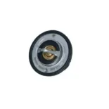 NRF 725097 Termostato, refrigerante