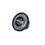 NRF 725097 Termostato, refrigerante