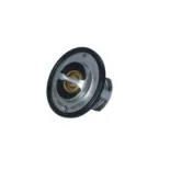 NRF 725097 Termostato, refrigerante