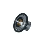 NRF 725097 Termostato, refrigerante