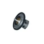 NRF 725097 Termostato, refrigerante