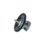 NRF 725097 Termostato, refrigerante