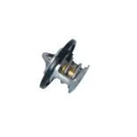 NRF 725097 Termostato, refrigerante