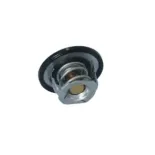 NRF 725097 Termostato, refrigerante