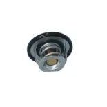 NRF 725097 Termostato, refrigerante