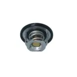 NRF 725097 Termostato, refrigerante