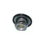 NRF 725097 Termostato, refrigerante