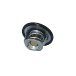 NRF 725097 Termostato, refrigerante