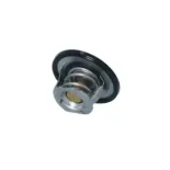 NRF 725097 Termostato, refrigerante