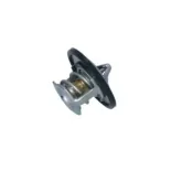 NRF 725097 Termostato, refrigerante