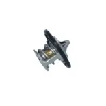 NRF 725097 Termostato, refrigerante