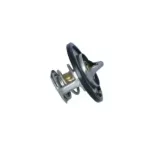 NRF 725097 Termostato, refrigerante