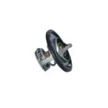 NRF 725097 Termostato, refrigerante