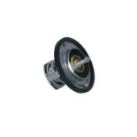 NRF 725097 Termostato, refrigerante