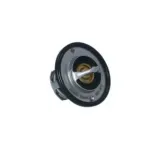 NRF 725097 Termostato, refrigerante