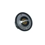 NRF 725097 Termostato, refrigerante