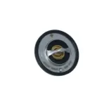 NRF 725097 Termostato, refrigerante