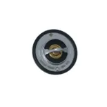 NRF 725097 Termostato, refrigerante