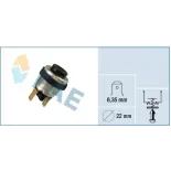 FAE 63220 Interruptor