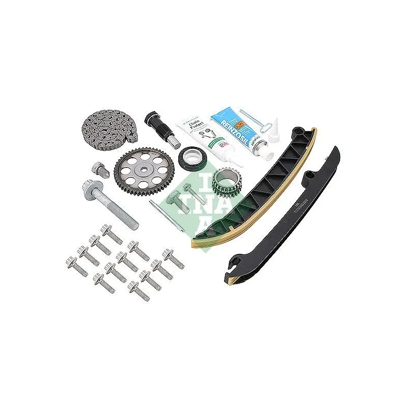 INA SCHAEFFLER 559180740 Cadena de distribución