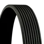 CONTINENTAL CTAM 8PK1688 Correa trapecial poli V