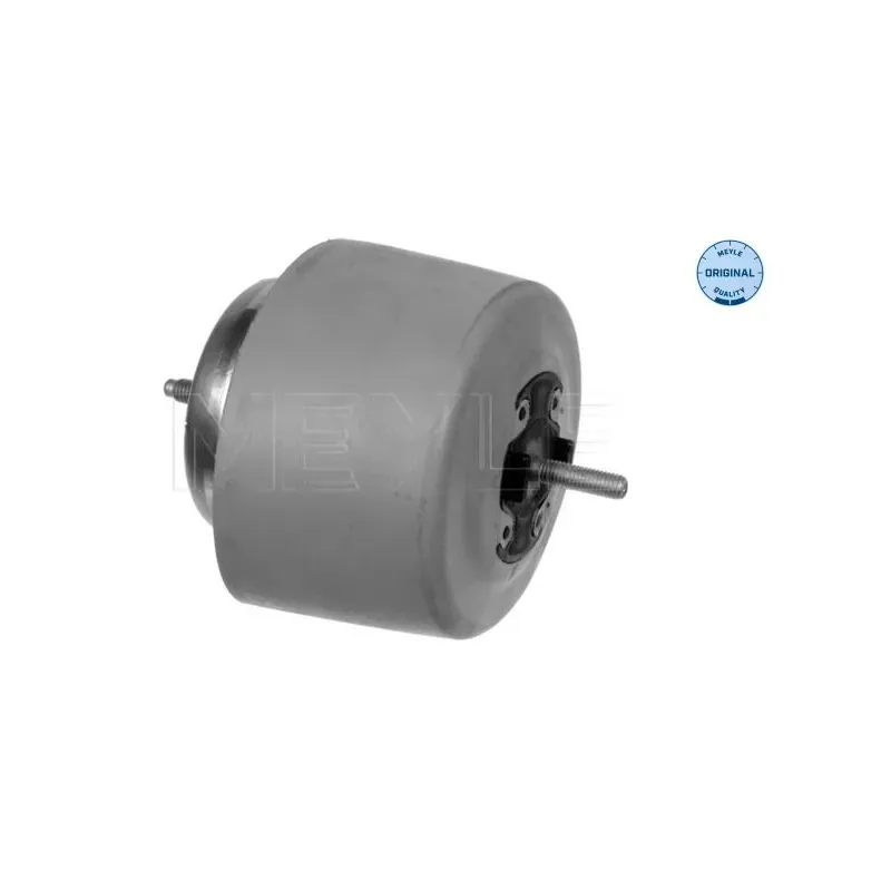 MEYLE 1001990084 Soporte, motor