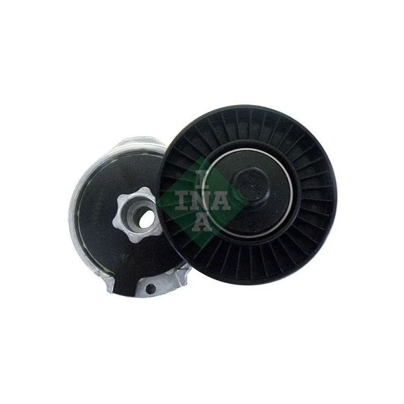 INA SCHAEFFLER 534016310 Tensor de correa