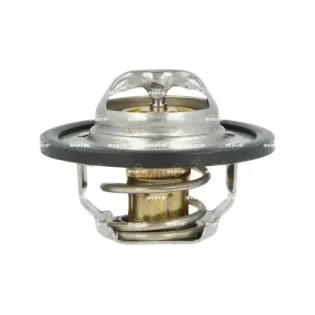 NRF 725435 Termostato, refrigerante
