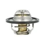 NRF 725435 Termostato, refrigerante