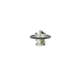 NRF 725435 Termostato, refrigerante