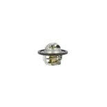 NRF 725435 Termostato, refrigerante