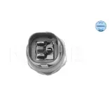 MEYLE 1009599001 Interruptor de temperatura, ventilador del radiador