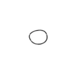 NRF 725055 Termostato, refrigerante