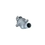 NRF 725055 Termostato, refrigerante