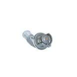 NRF 725055 Termostato, refrigerante