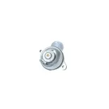 NRF 725055 Termostato, refrigerante