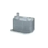 NRF 31276 Radiador de aceite