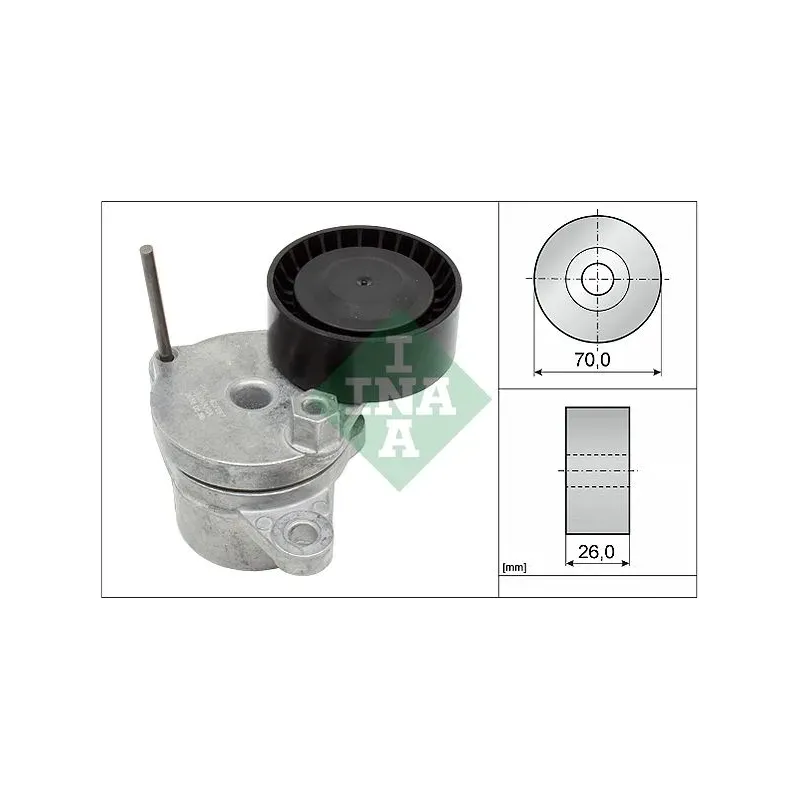 INA SCHAEFFLER 534064910 Tensor de correa