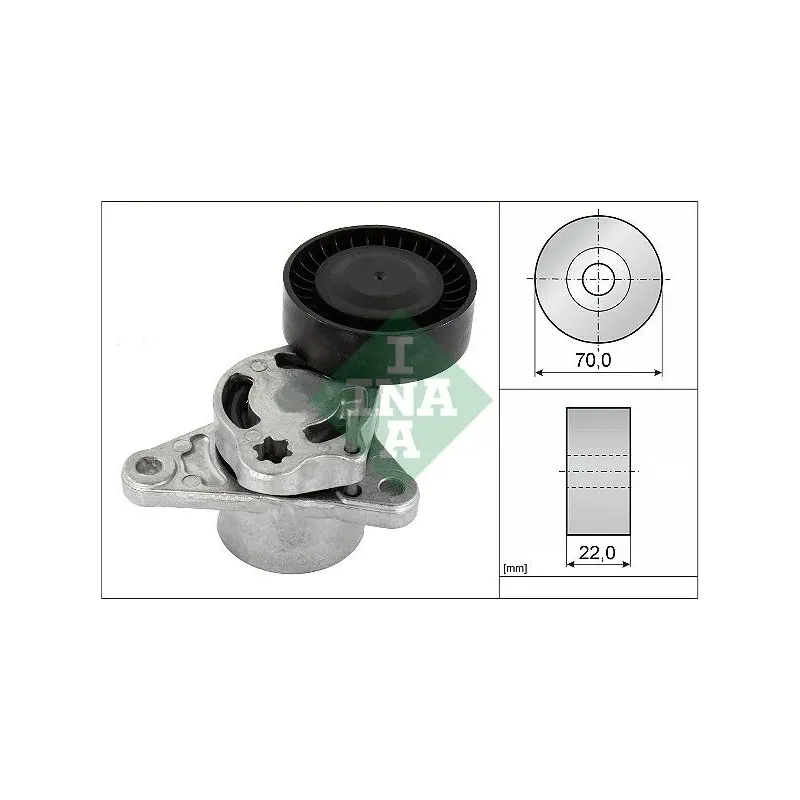 INA SCHAEFFLER 534070910 Tensor de correa